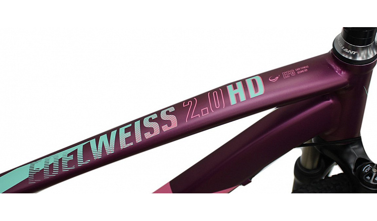 Велосипед Welt Edelweiss 2.0 HD 27 2020