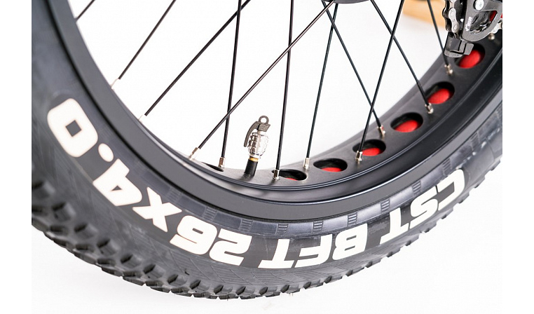 Электро-фэтбайк, TXED